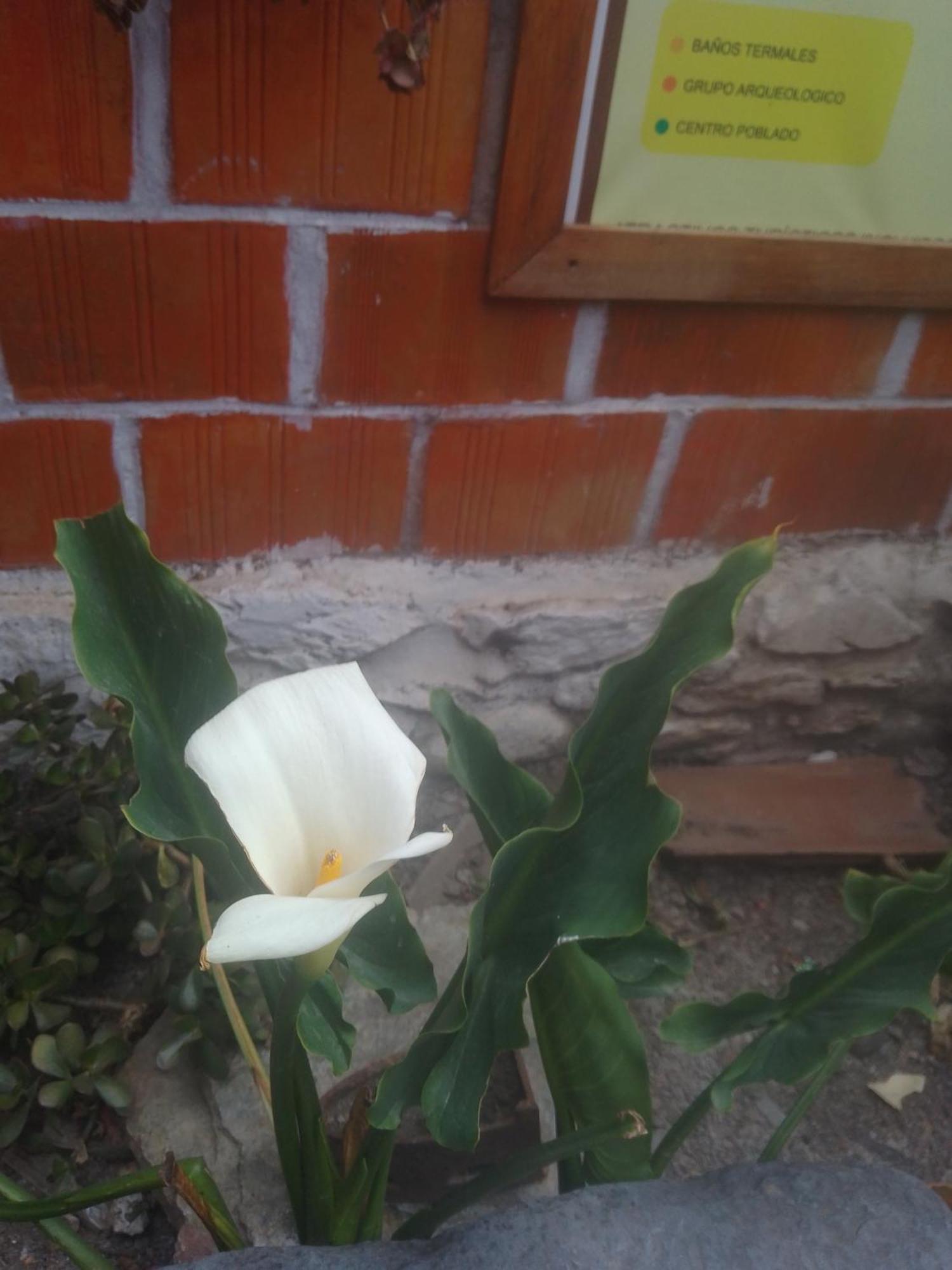 Hostal Raymi Ollantaytambo Dış mekan fotoğraf
